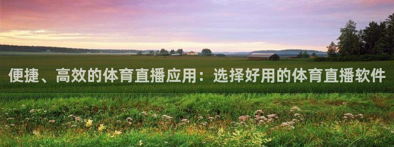便捷、高效的体育直播应用：选择好用的体育直播软件