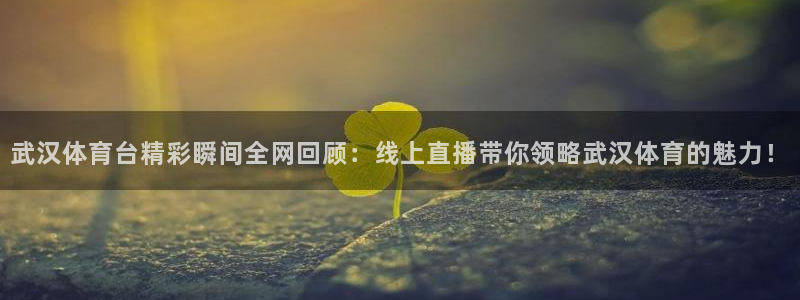 武汉体育台精彩瞬间全网回顾：线上直播带你领略武汉体育的魅力！