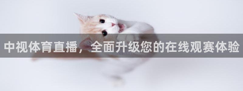 中视体育直播，全面升级您的在线观赛体验